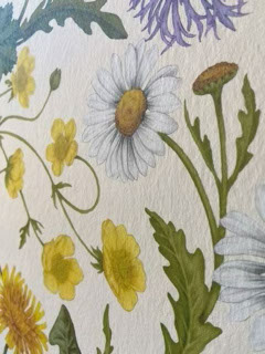 Illustration of yellow buttercups and white daisies with green leaves on a textured background.