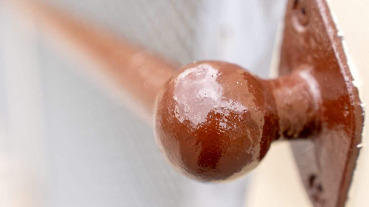 Close-up image of a brown, spherical door handle mounted on a metal bracket