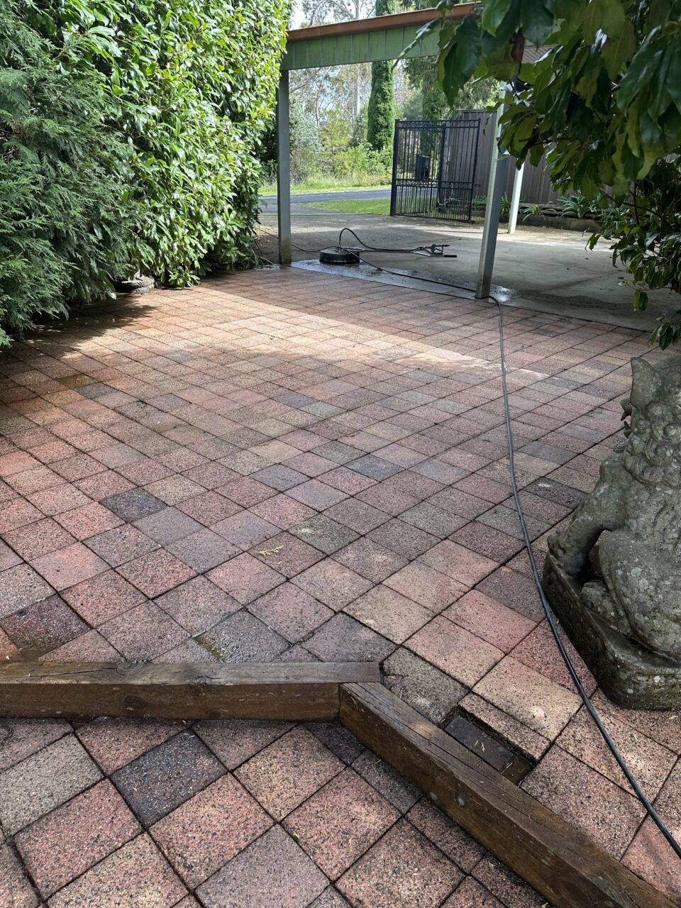 Brick patio with a wooden border and hose lying beneath leafy trees, adjacent to a driveway