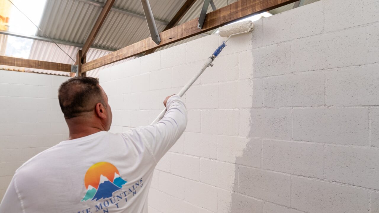 Person with short hair, wearing a white shirt using a long-handled roller to paint the wall